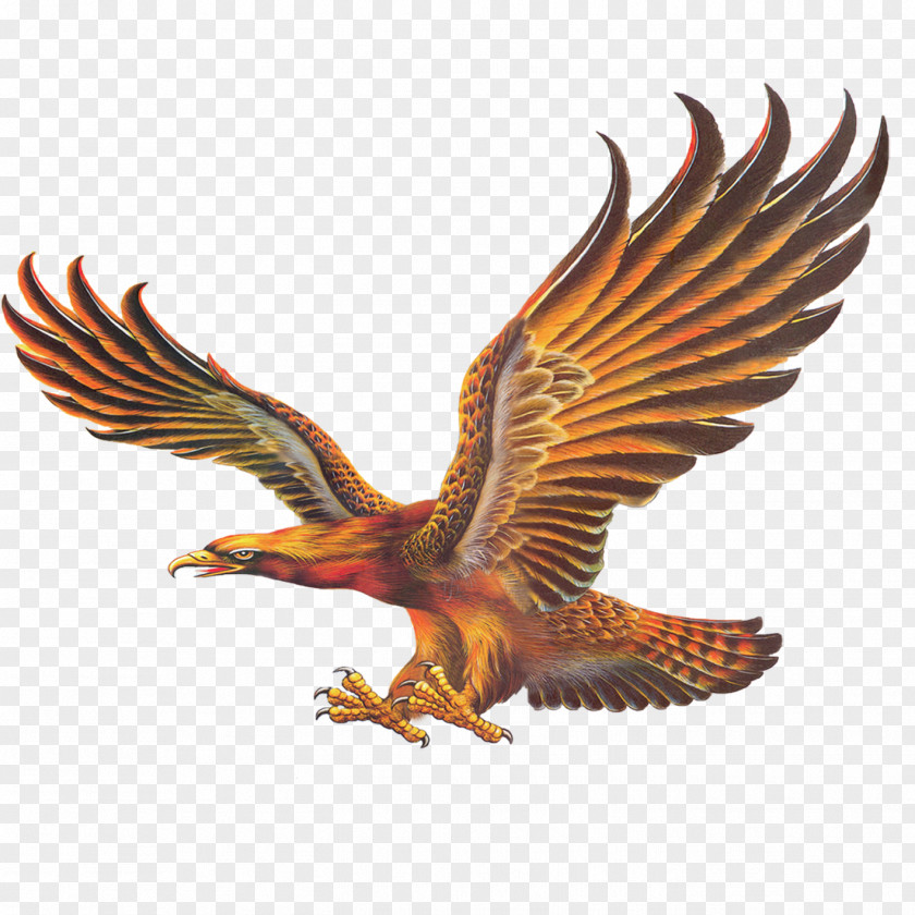 Eagle Chinese Painting Mural Wallpaper PNG