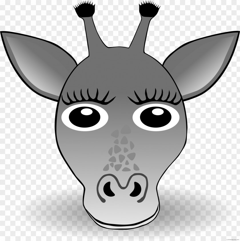 Giraffe Clip Art Vector Graphics Face Illustration PNG