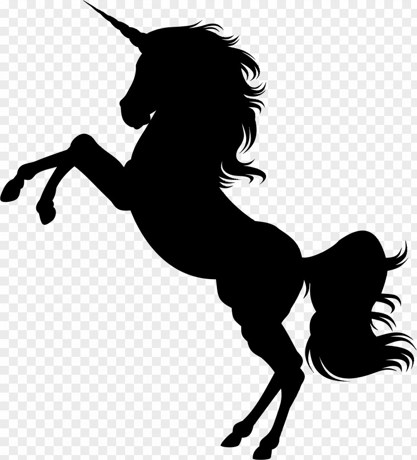 Horse Vector Graphics Rearing Stock.xchng Illustration PNG