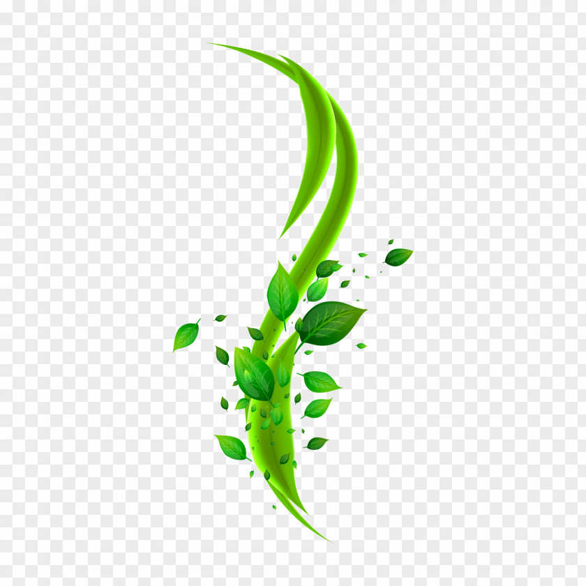 Leaf Clip Art Green Curve PNG