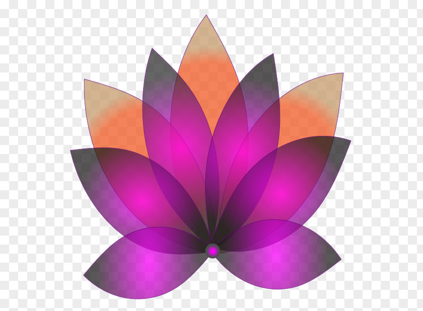 Magenta Water Lily Flower Cartoon PNG