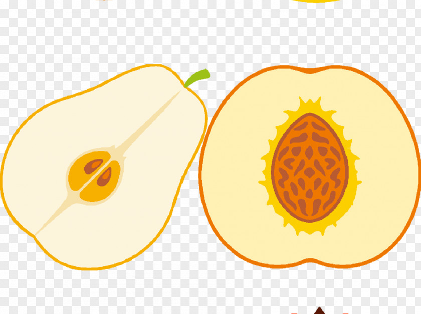 Pear Apple Asian Auglis Fruit PNG