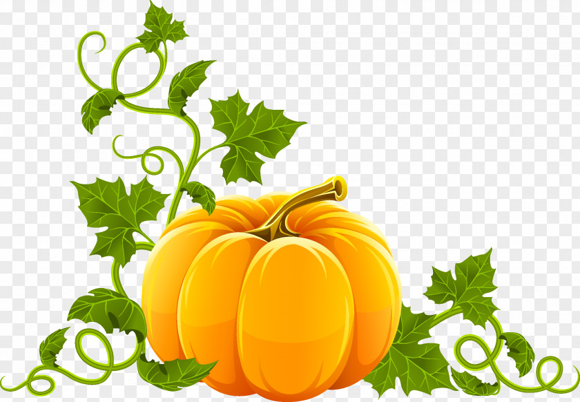 Pumpkin Pie Jack-o-lantern Clip Art PNG