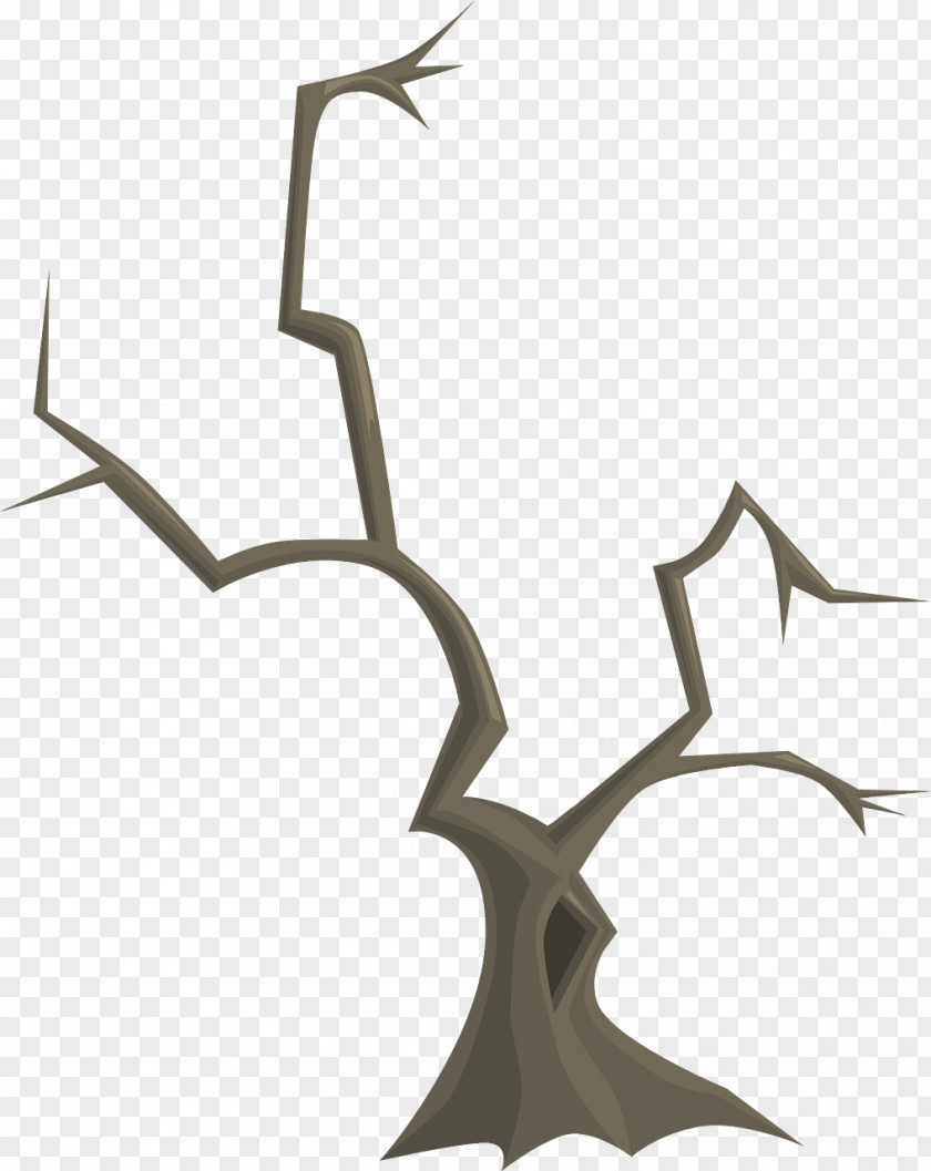 Tree Twig Branch PNG