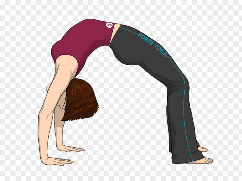 Yoga Dhanurasana Stretching Chakrasana PNG