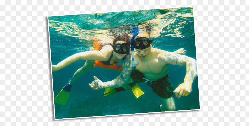 Beach Bum Snorkeling Underwater Animal PNG