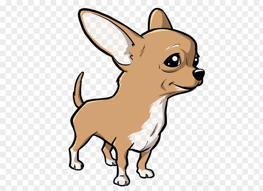 Boneca Cartoon Chihuahua Puppy Drawing Image PNG