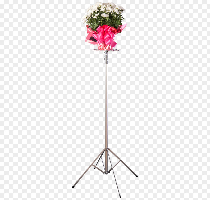 Exhibtion Stand Cut Flowers Floral Design Floristry PNG