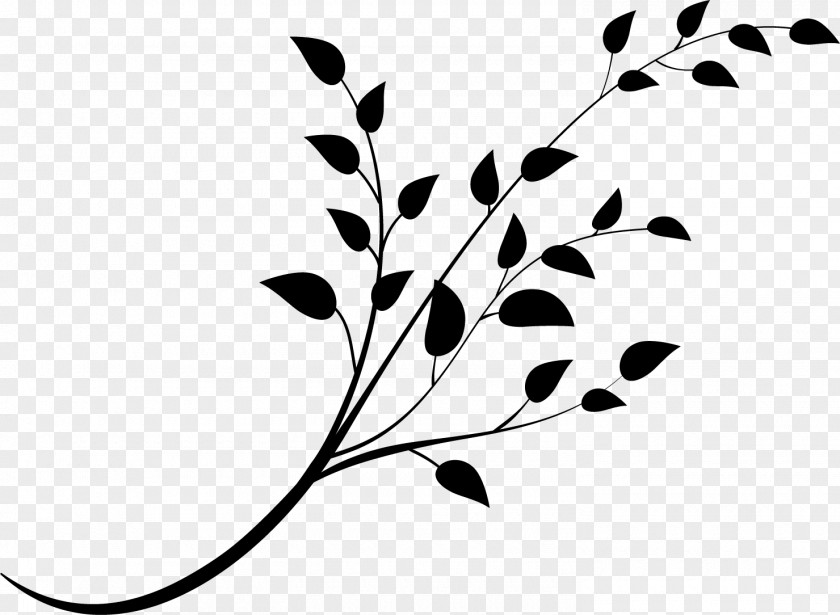 Leaf Pattern Plant Stem Flower Desktop Wallpaper PNG