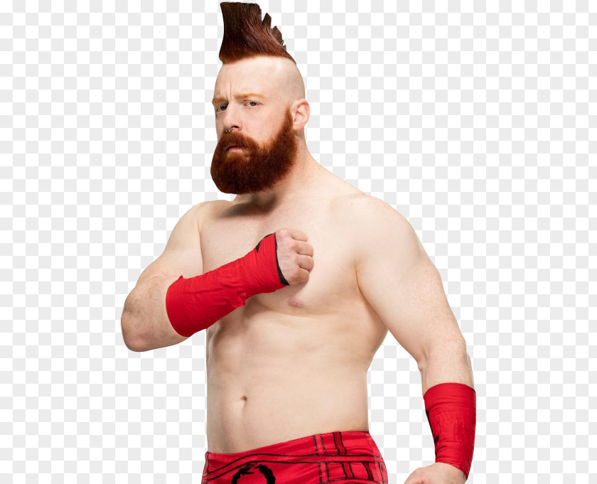 Sheamus Pic Raw Image Format PNG