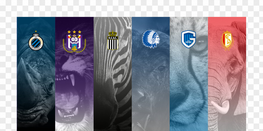 Tubize 2015–16 UEFA Europa League 2016–17 2014–15 2017–18 PNG