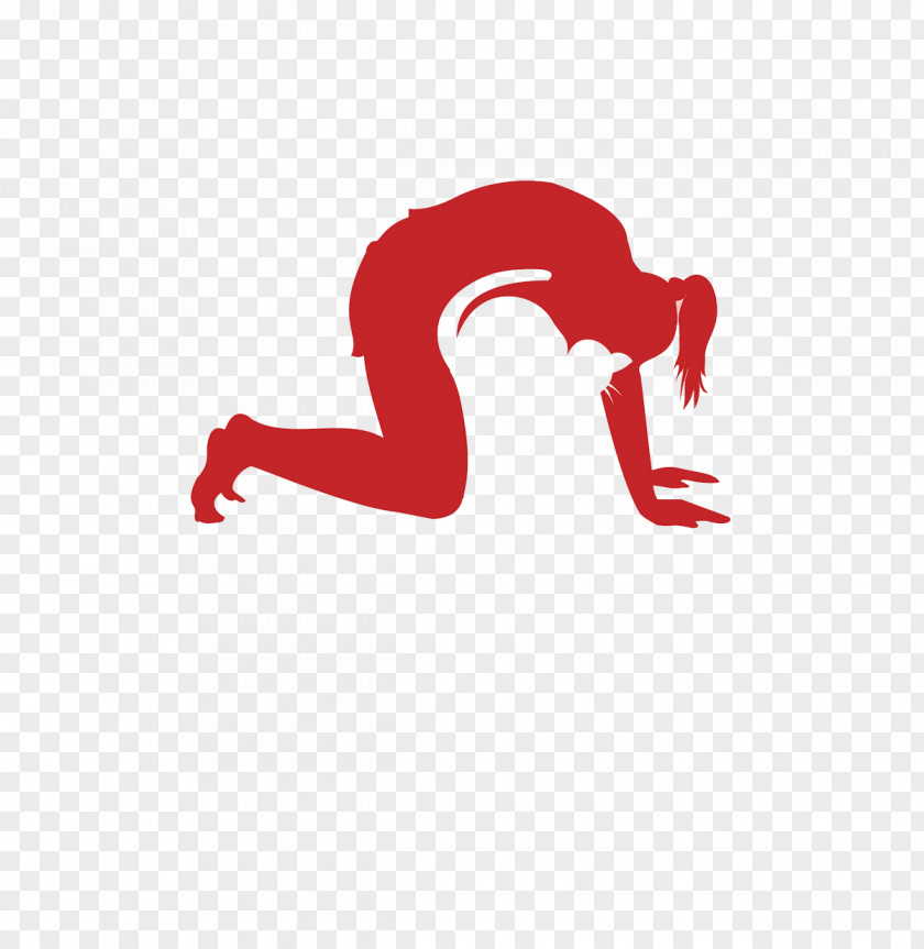 Cats Breathing Yoga Physical Exercise PNG