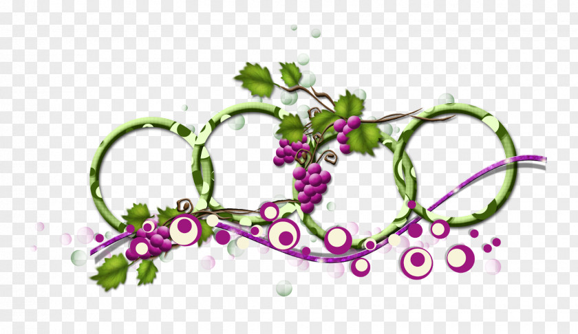 Grape Common Vine Image Download PNG