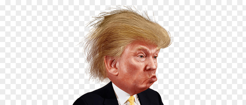 Trump Funny Hair PNG Hair, Donald illustration clipart PNG