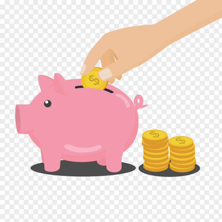 Vector Piggy Bank Money PNG