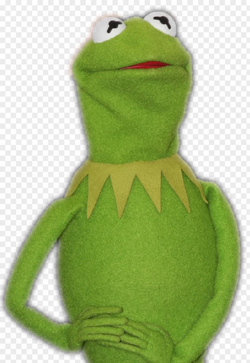 Bad Kermit The Frog Muppets True PNG