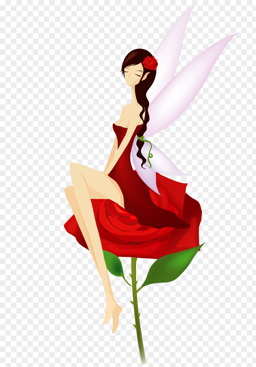 Beautiful Beauty Wizard Fairy Illustration PNG