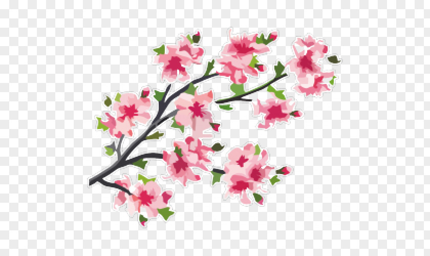Cherry Blossom Branch Flower PNG