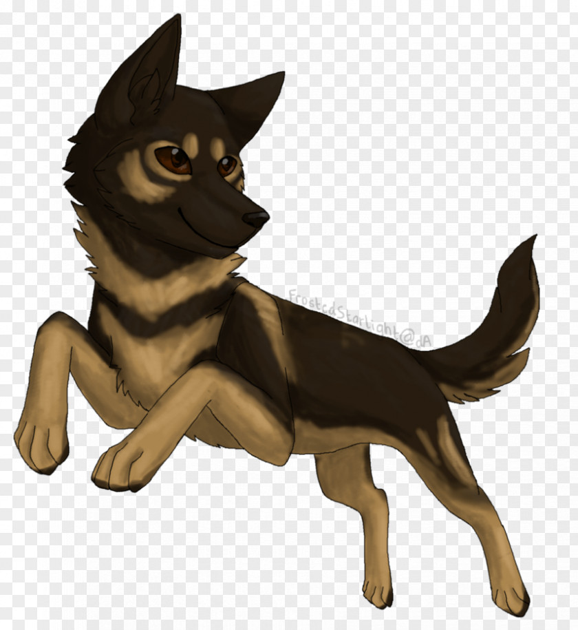 Leap Of Faith Whiskers Puppy Cat Dog Breed PNG