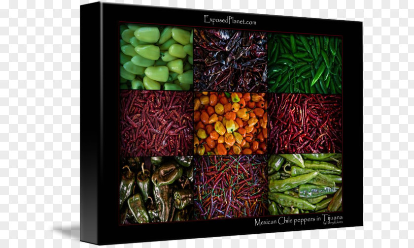 Mexican Landscape Mexico Fruit Chili Pepper PNG