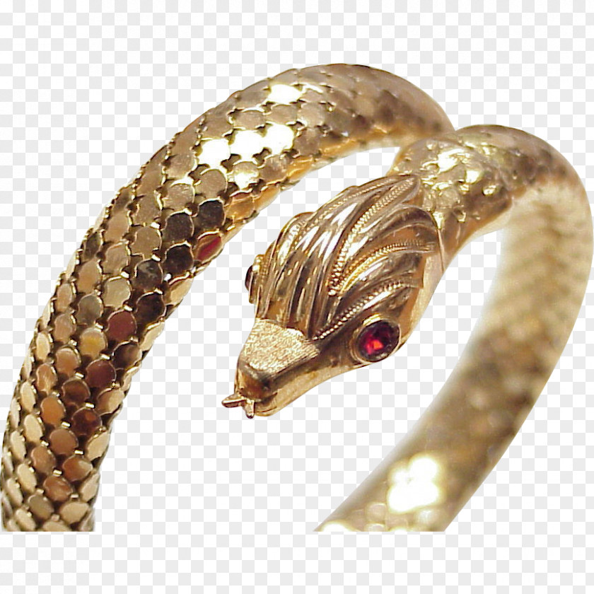 Snake Serpent Gold Metal Jewellery PNG