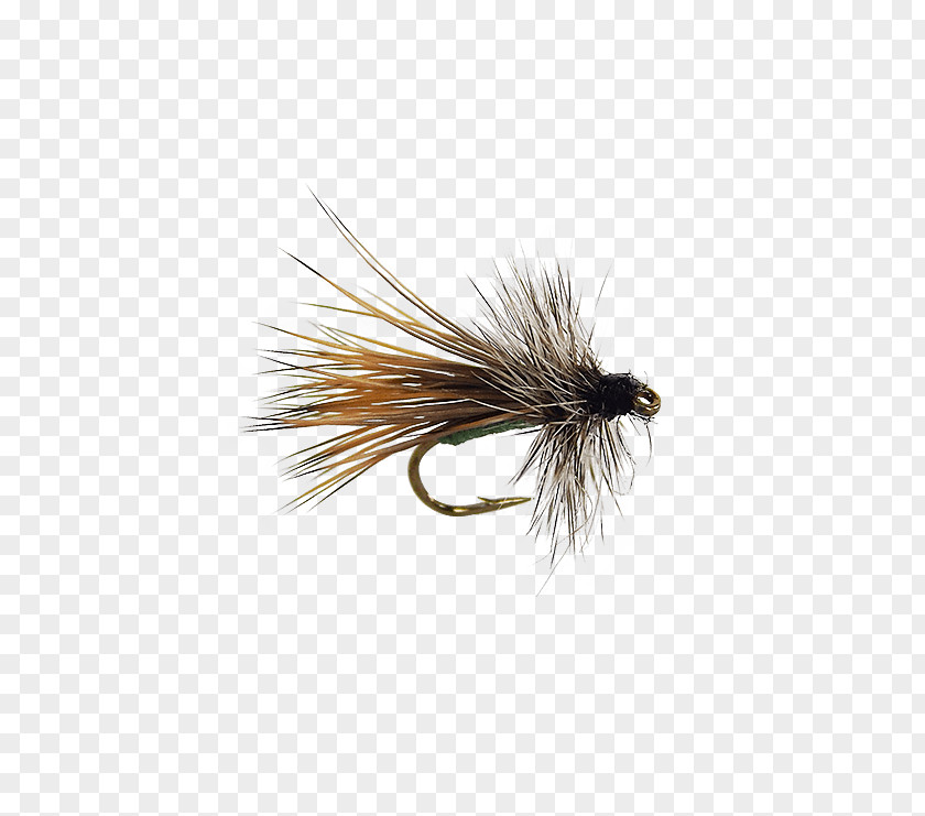 Fly Fishing Dry Flies Apple Elk Hair Caddis Caddisflies Artificial PNG