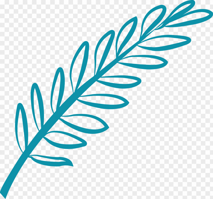 Olive Branch Leaf Plant Stem Flower Clip Art PNG