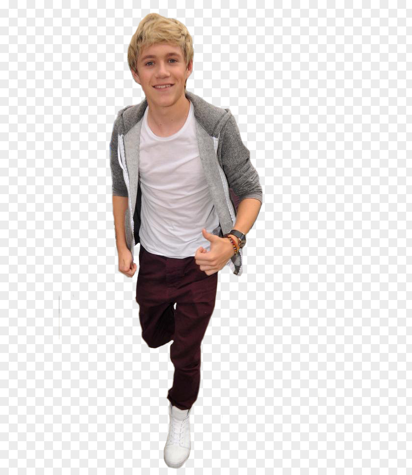 One Direction Niall Horan Mullingar Gotta Be You PNG
