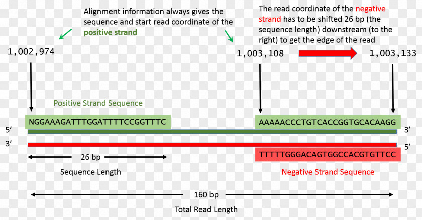 Positive Display Document Line Green Angle Computer Program PNG