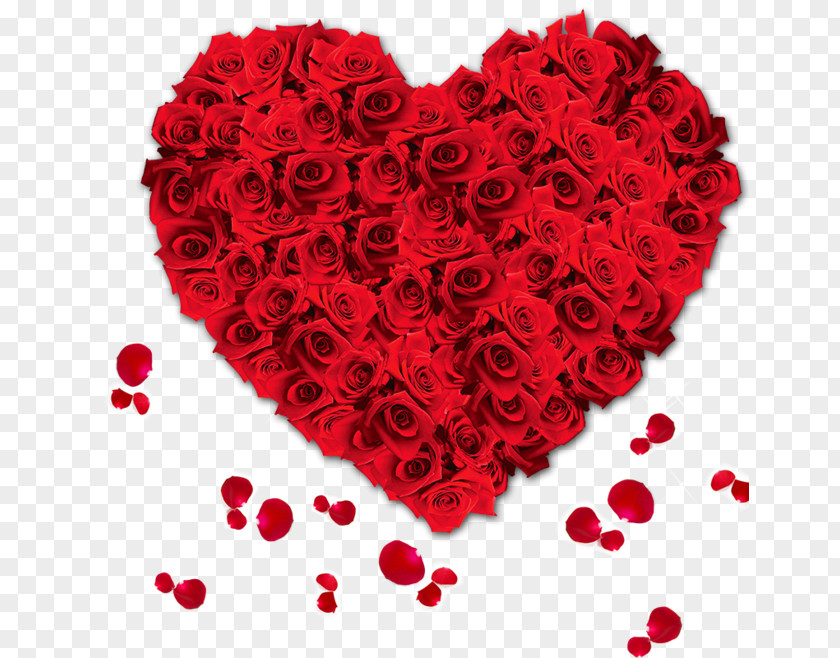 Real Roses Flower Romance Valentine's Day Design Portable Network Graphics PNG