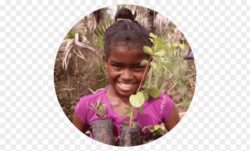 Tree Imagine Woman Nature Female PNG