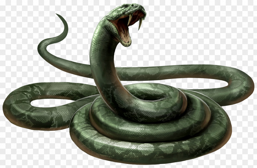 Anaconda Lord Voldemort Harry Potter Professor Severus Snape Snake Neville Longbottom PNG