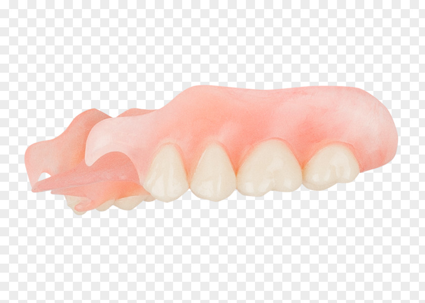Aspen Dental Tooth Dentures Peach PNG
