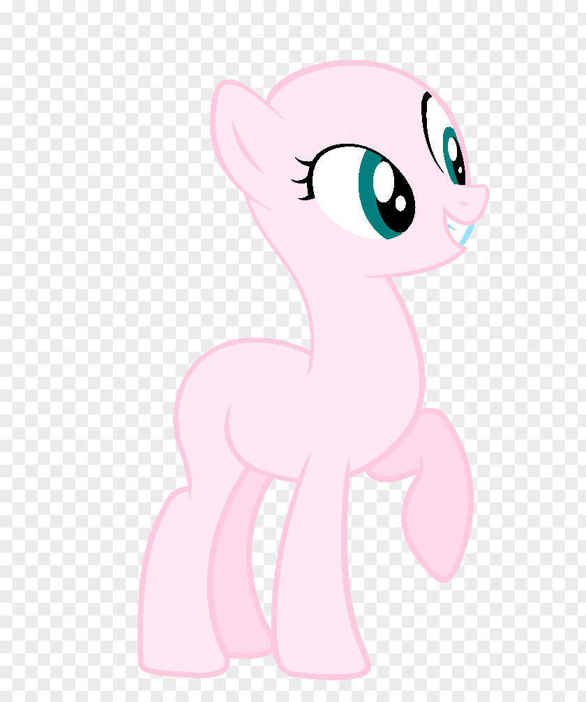 Cat Whiskers Pony Horse Mammal PNG