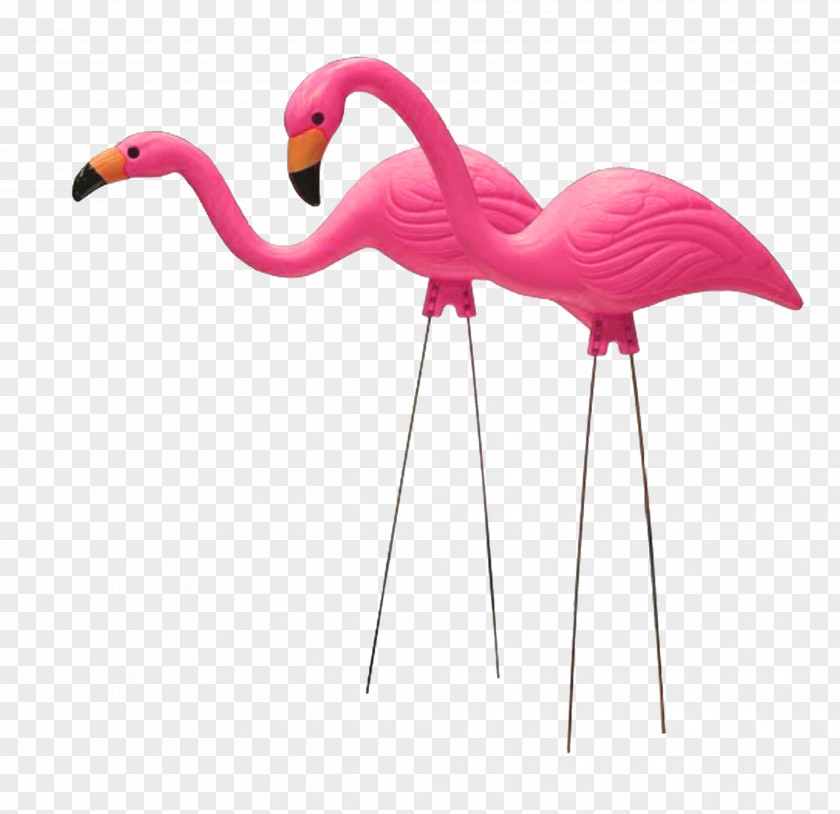 Flamingo Plastic United States Lawn Ornaments & Garden Sculptures Ornament PNG