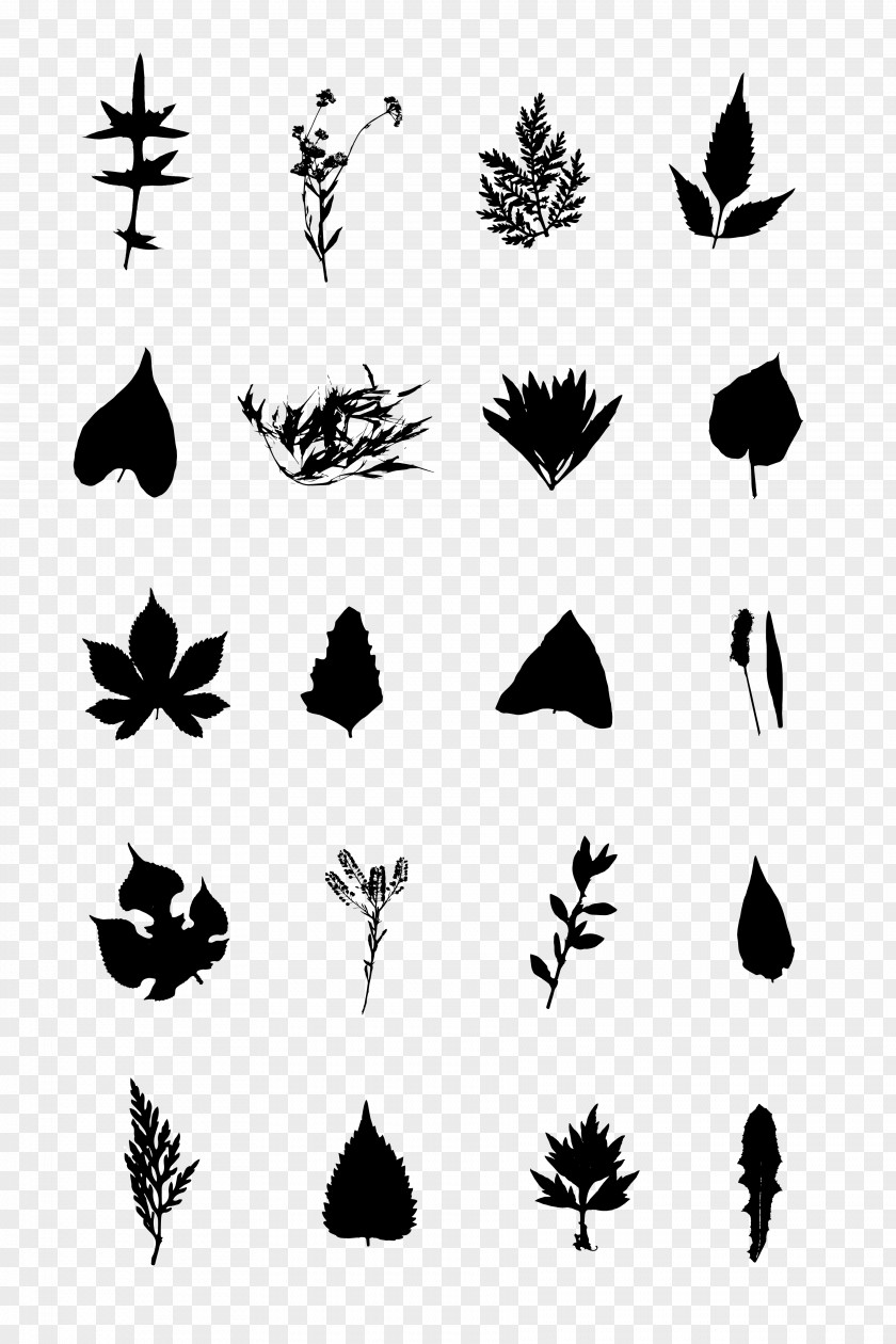 Insect Butterfly Silhouette White Clip Art PNG