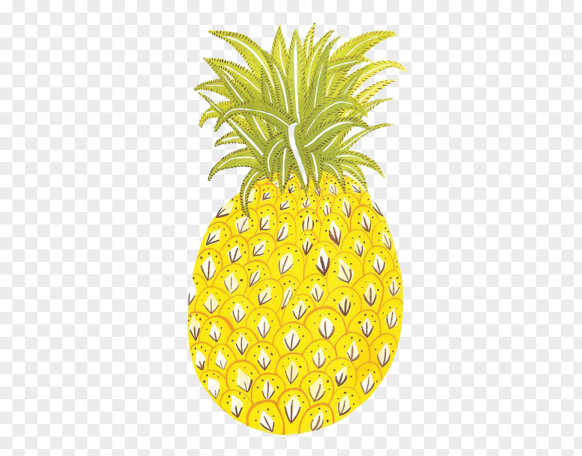 Lovely Pineapple Food Cartoon Illustration PNG