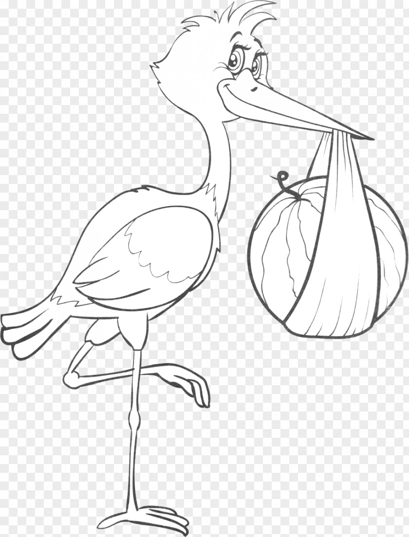 Stork Bird Drawing Line Art Chicken PNG