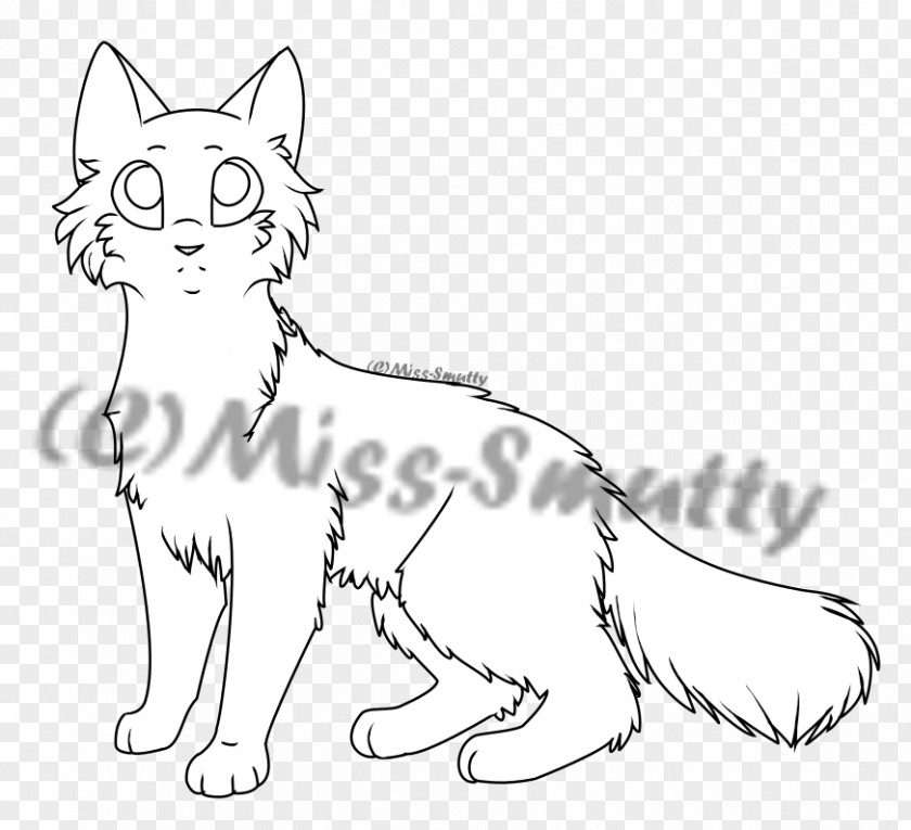 Cat Whiskers Wildcat Red Fox Line Art PNG