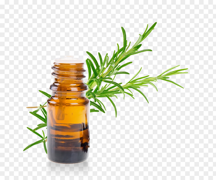 Oil Essential Rosemary Vinaigrette Herb PNG