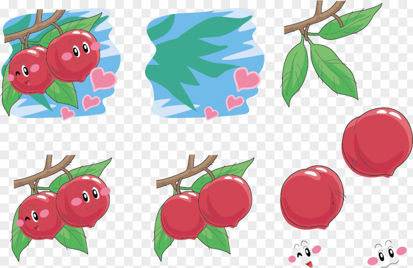 Peach Tree Expression Vector Illustration PNG
