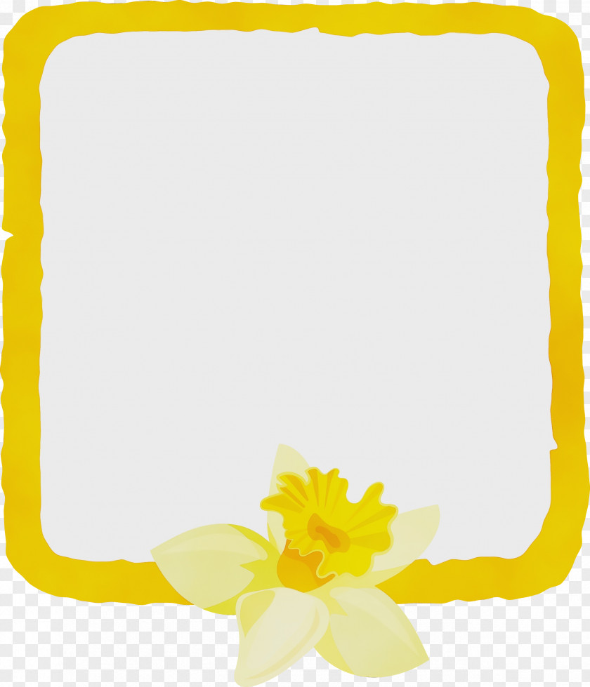 Picture Frame PNG