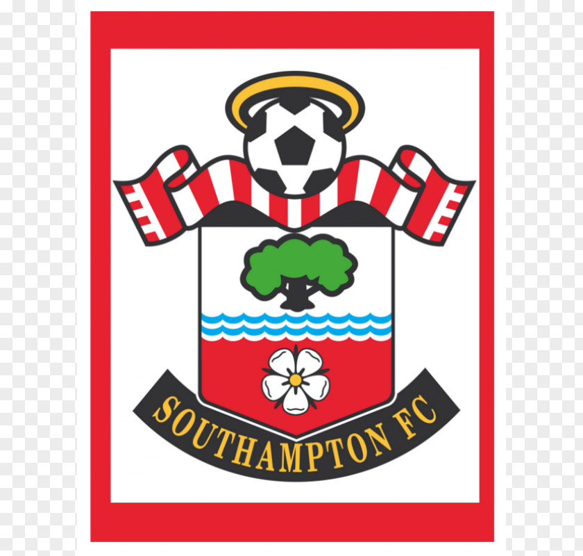 Premier League Southampton F.C. Portsmouth Newcastle United PNG