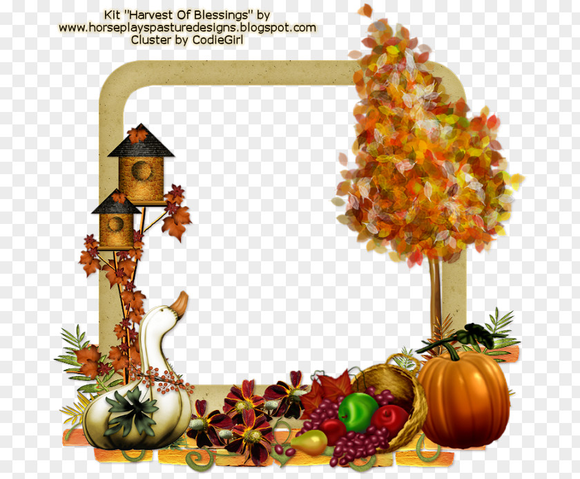 Pumpkin Gourd Thanksgiving Orange S.A. PNG