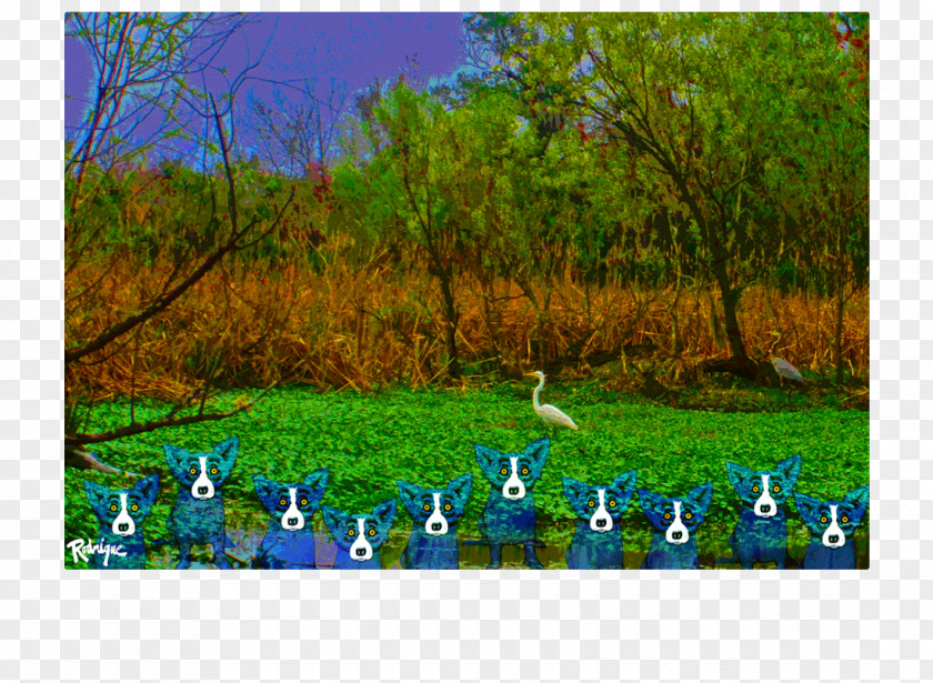 Swamp Meadow Grassland Nature Reserve Ecosystem PNG