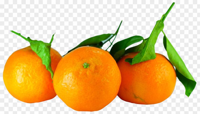 Tangerines With Leaves Orange Juice Tangerine Clementine PNG