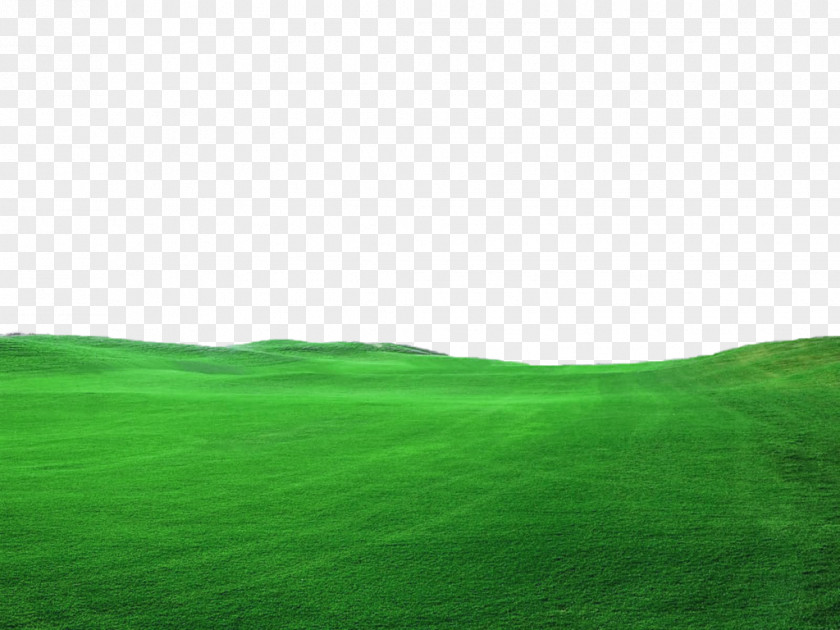 Green Grass Decoration Borders Lawn Grassland Landscape Wallpaper PNG