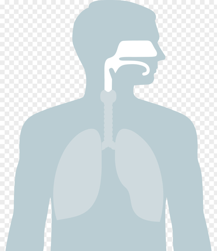 Health Sleep Apnea Positive Airway Pressure Medicine PNG