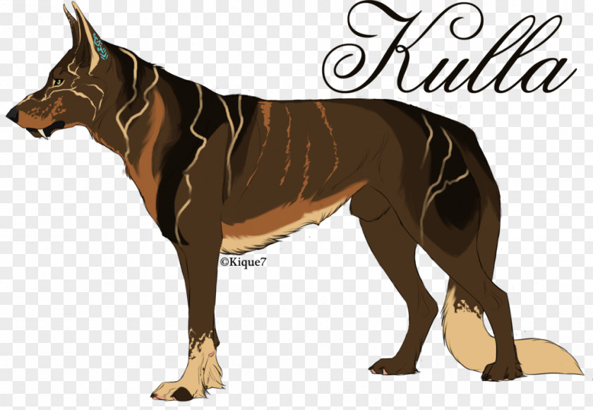 HORS Dog Breed Indian Pariah Horse PNG