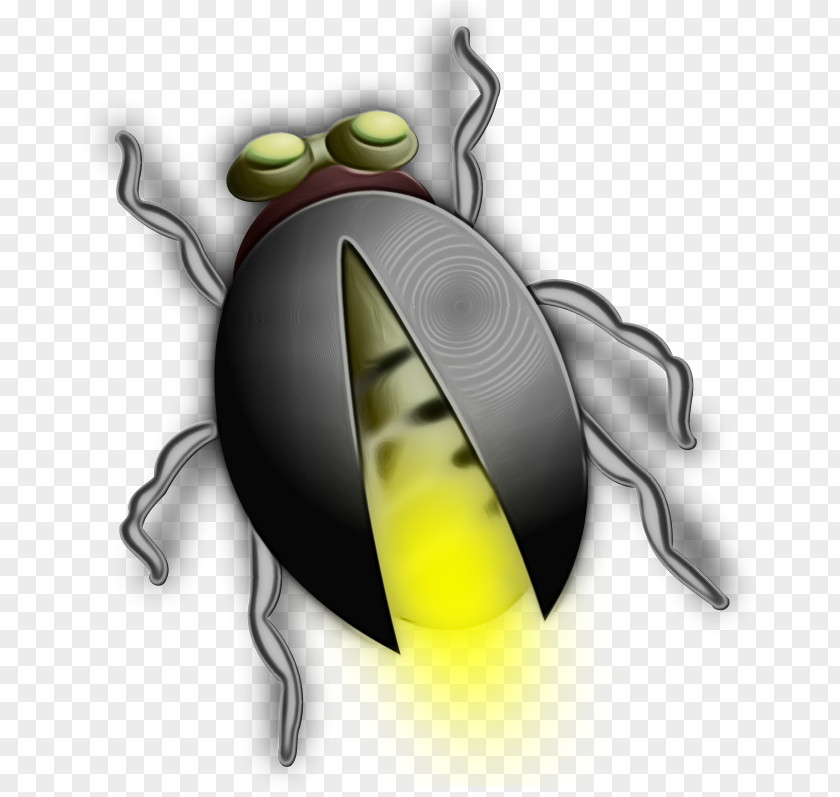 Membranewinged Insect Plant Bee Background PNG